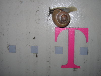 Schnecke aufm -T---Schaltkasten